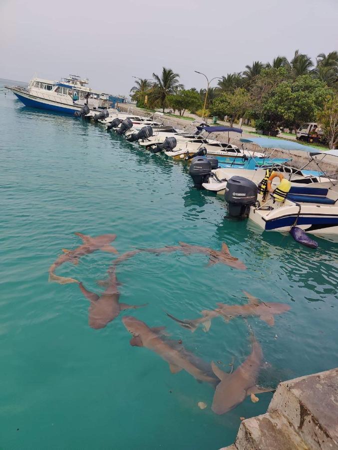 Rashuthere Maldives Rasdhoo Zewnętrze zdjęcie
