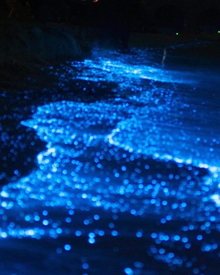 Rashuthere Maldives Rasdhoo Zewnętrze zdjęcie