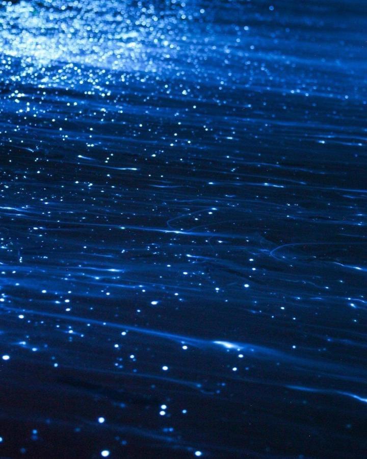 Rashuthere Maldives Rasdhoo Zewnętrze zdjęcie