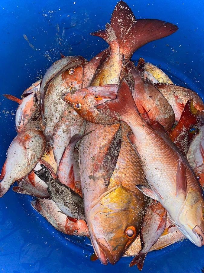 Rashuthere Maldives Rasdhoo Zewnętrze zdjęcie