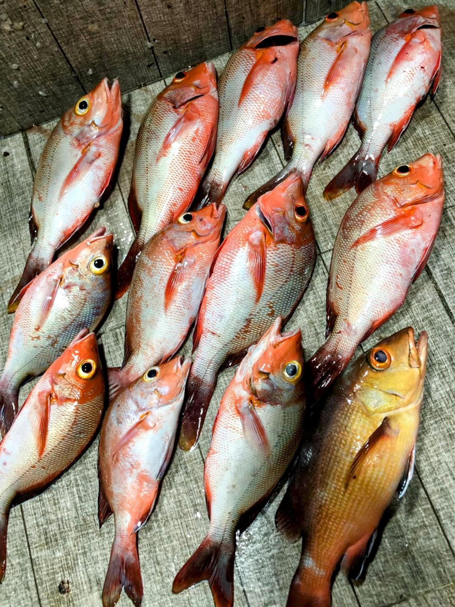 Rashuthere Maldives Rasdhoo Zewnętrze zdjęcie