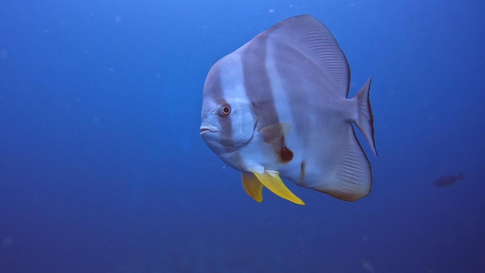 Rashuthere Maldives Rasdhoo Zewnętrze zdjęcie