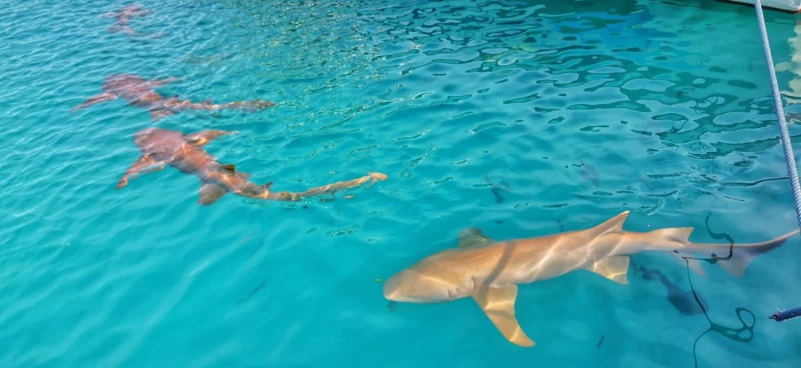 Rashuthere Maldives Rasdhoo Zewnętrze zdjęcie