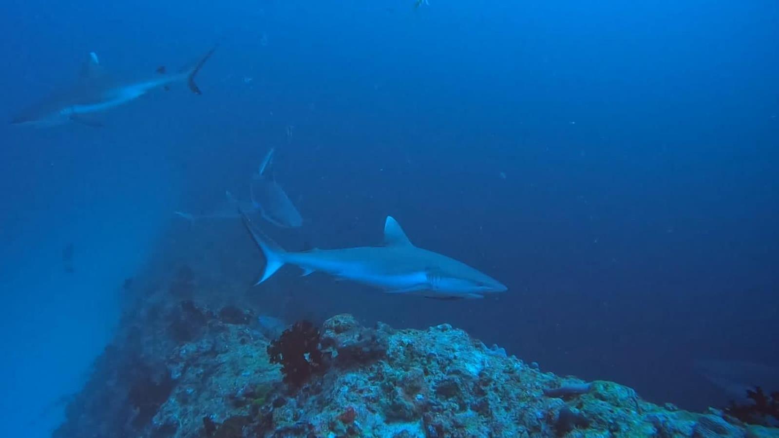 Rashuthere Maldives Rasdhoo Zewnętrze zdjęcie